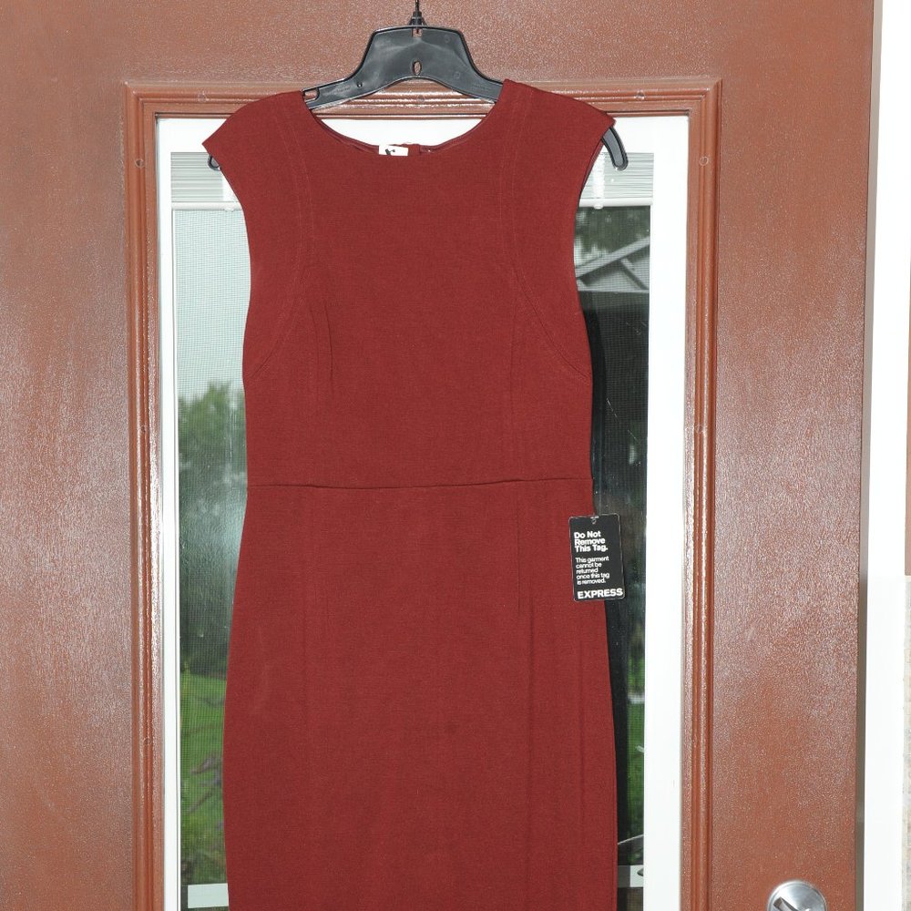 Express Dress - Picture 4 of 4